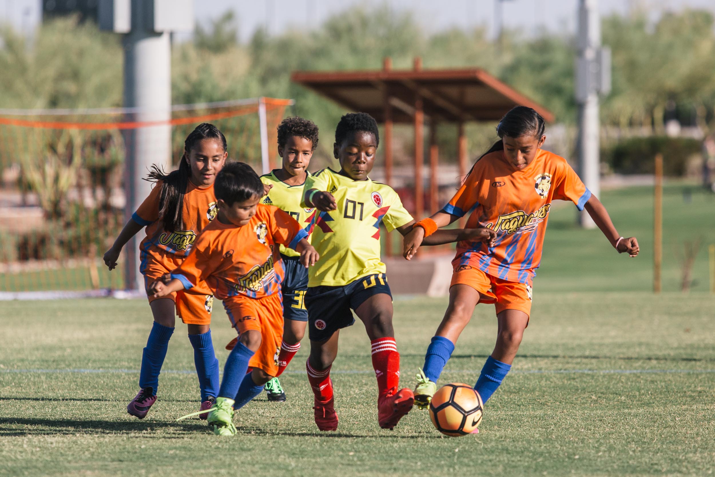 Arizona Youth Summer Soccer Camp Arizona Sports League