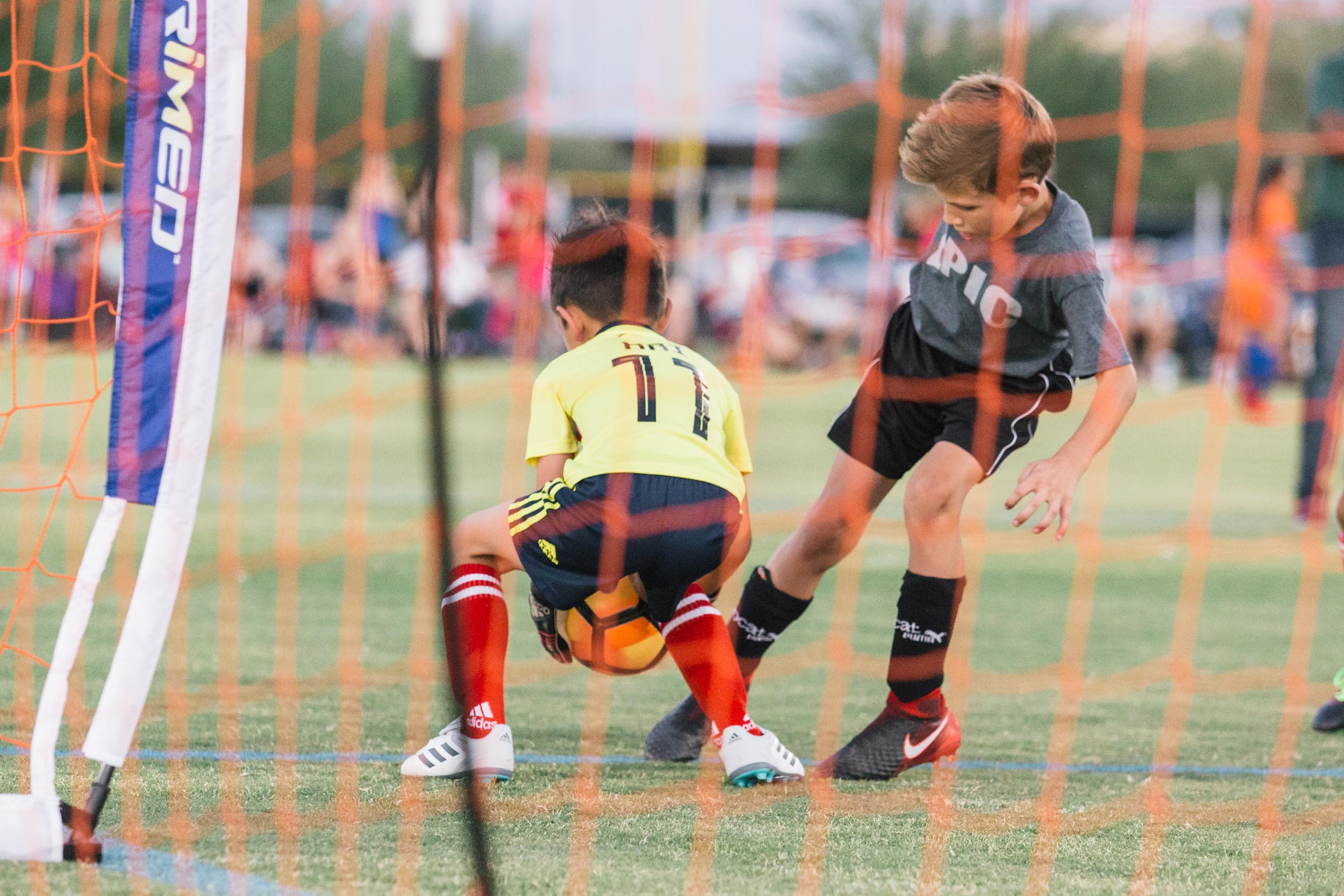 Arizona Youth Summer Soccer Camp Arizona Sports League